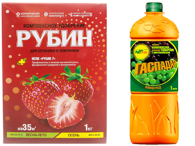 Удобрения Рубин и Гаспадар для подкормки клубники Крапо
