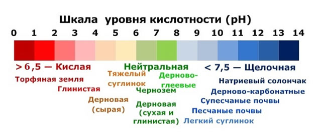 Кислотность в зависимости от типа почвы